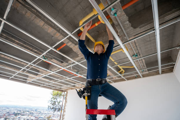 Best Plumbing Inspection Services  in Coleman, MI
