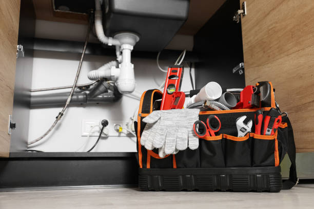 Best Shower Repair Services  in Coleman, MI