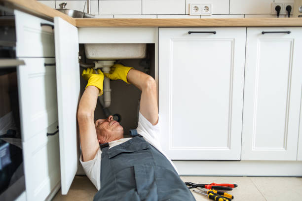Best Plumbing Repair Near Me  in Coleman, MI