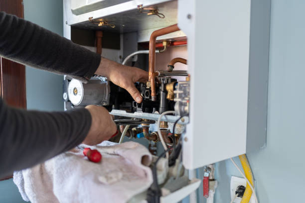 Best Same-Day Plumbing Service  in Coleman, MI