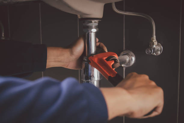 Best Sprinkler Systems  in Coleman, MI