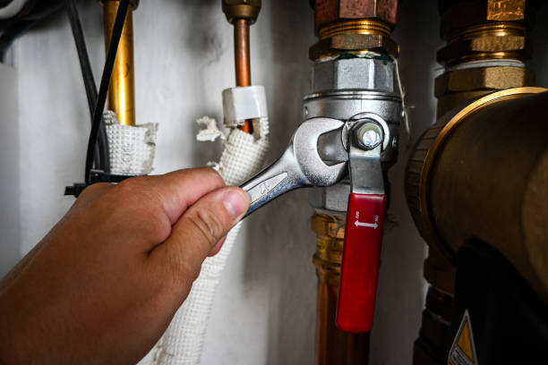 Best Affordable Plumber Near Me  in Coleman, MI